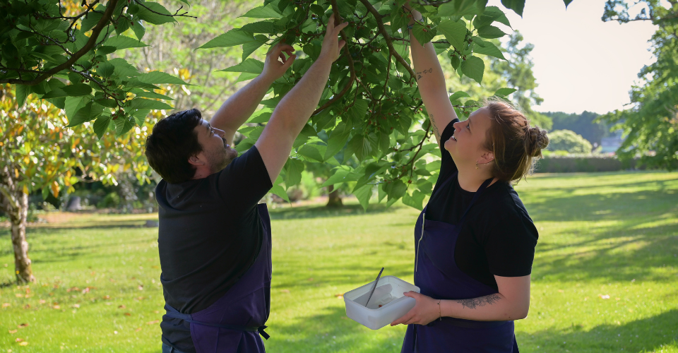 Julie et Benjamin cueillent des produits de saison en Périgord